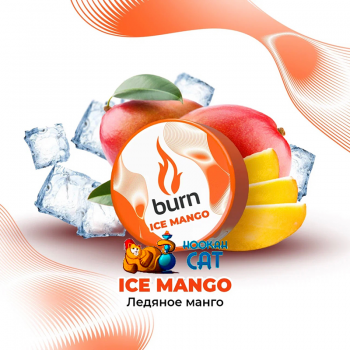 Заказать кальянный табак Burn Ice Mango (Ледяное Манго) 25г онлайн с доставкой всей России